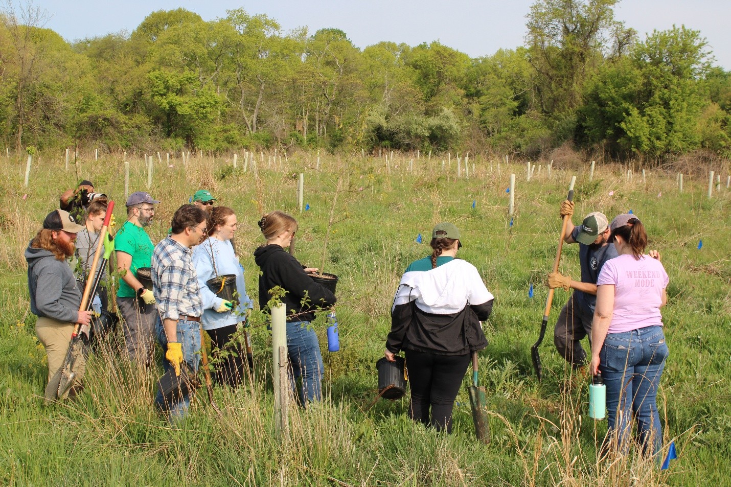 TEDI Surpasses 500,000 Trees Planted