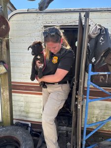 DAS Captain Rebecca Stratton and one of the rescued dogs.