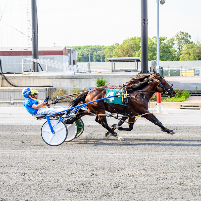 DSBF 3-year-old stakes top Monday Harrington Card