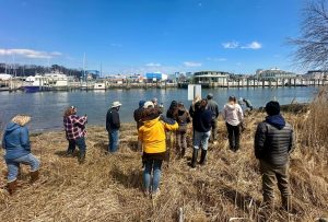 Participants in the two-day living shorelines training event will make field trips to existing projects/Delaware DNREC photo