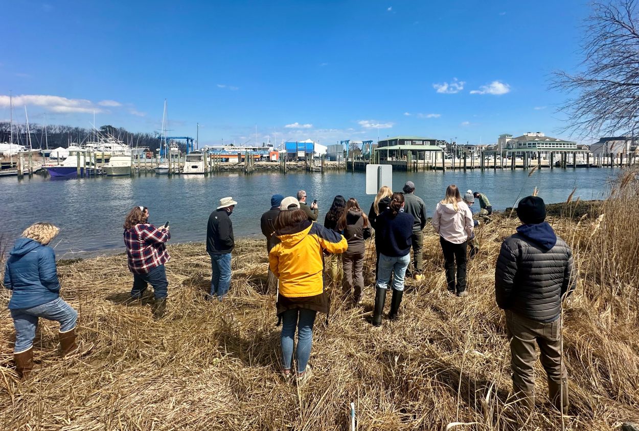 Participants in the two-day living shorelines training event will make field trips to existing projects/Delaware DNREC photo