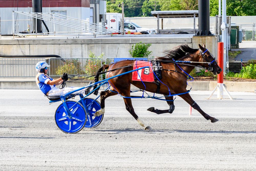 Lovers Cay earned her sixth career victory Tuesday at Harrington Raceway.