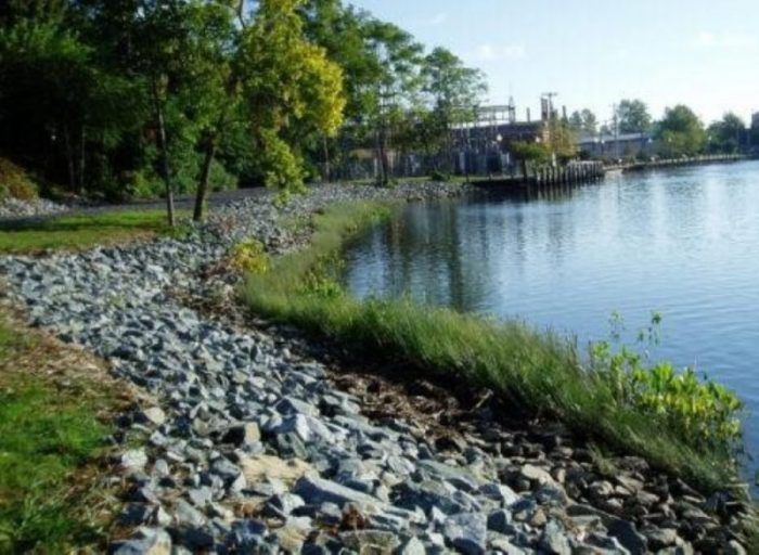 A living shoreline stabilization project in Seaford