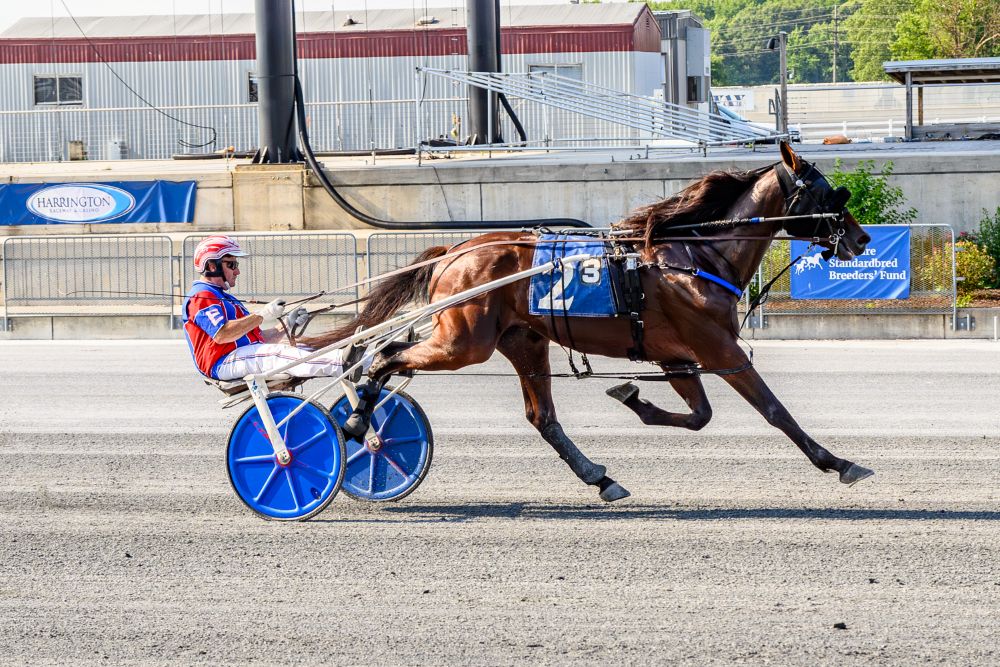 DSBF: Trotters set field for $110,000 final