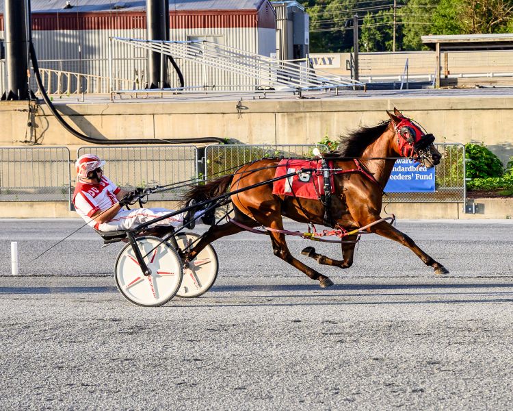 Salty Beaches, driven by Allan Davis, won in 1:57 Tuesday, Sept. 29 at Harrington Raceway