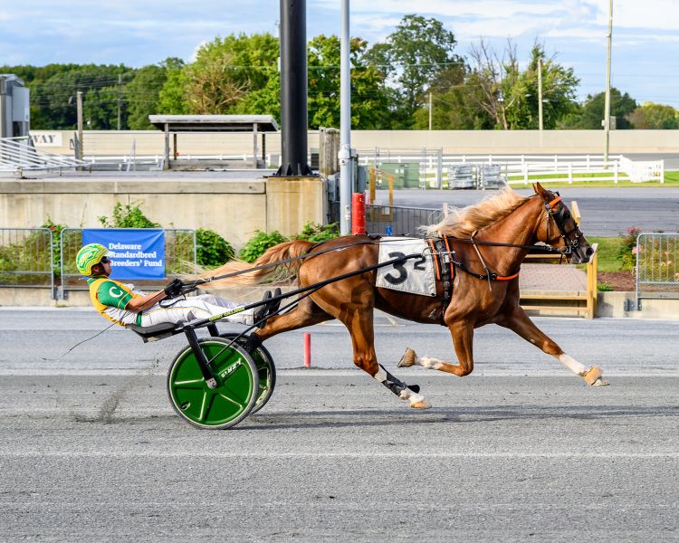 Blazing Tui, with Corey Callahan driving, scored a 1:57.4 victory.