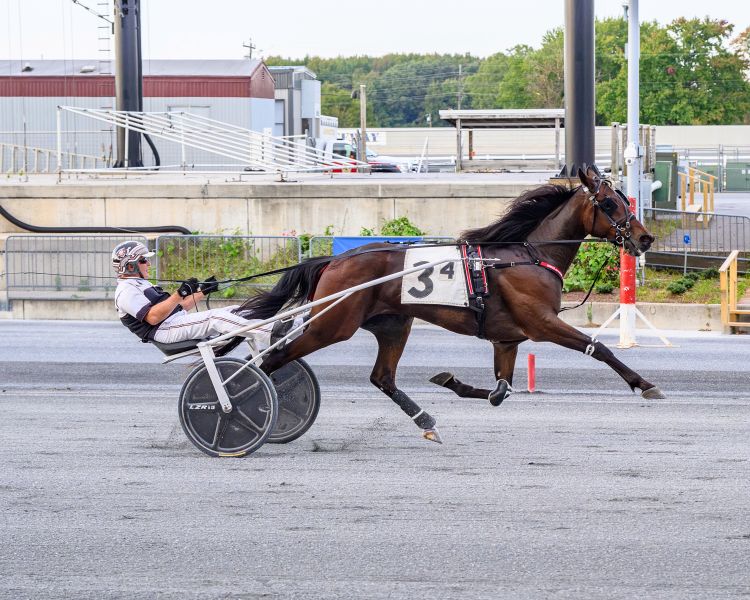 Mike Franks, driven by Ross Wolfenden, won his $110,000 DSBF final in 1:58.