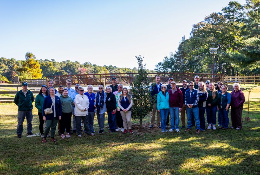 A group of Delaware State Parks staff, volunteers and partners gather around a newly planted tree at Trap Pond State Park, commemorating the planting of the 75,000th tree during the park system's 75th anniversary.