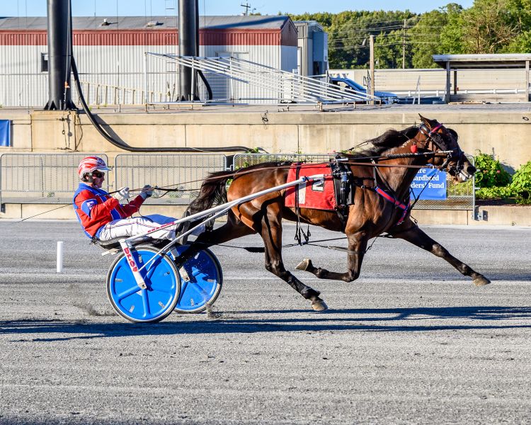 Vamoose, with Eddie Dennis driving, set a Harrington track record on Wednesday, Oct. 7.